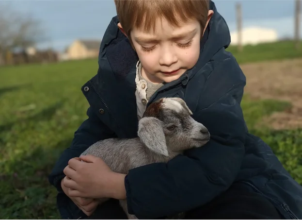Ferme pédagogique pour les enfants à Cellé, près de Bessé-sur-Braye - Loir et Cher 41