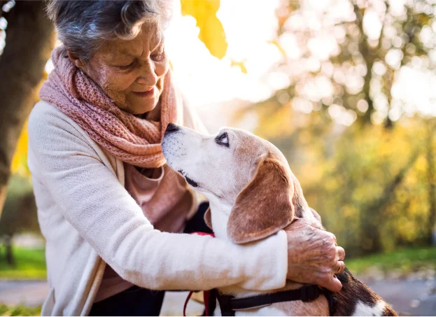 Séances de médiation animale à Cellé, près de Bessé-sur-Braye - Loir et Cher 41