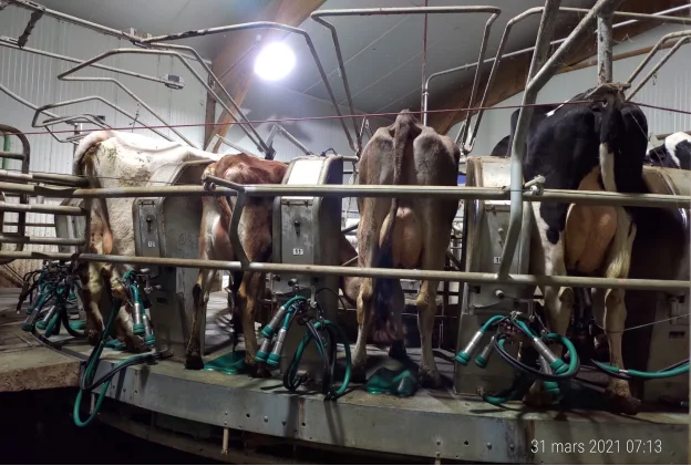 Lait Bio de vache - vente directe à la Ferme Brul'han - Cellé - Loir et Cher